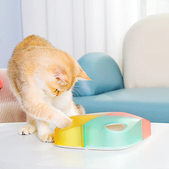 Kreatives Versteckspiel Für Katzen