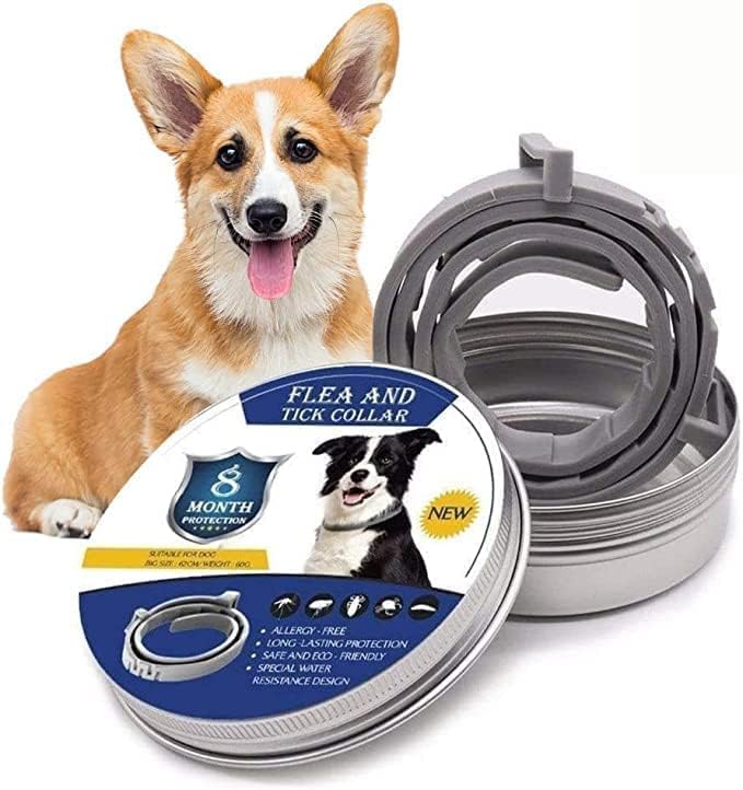 Floh- und Zeckenschutz-Halsband