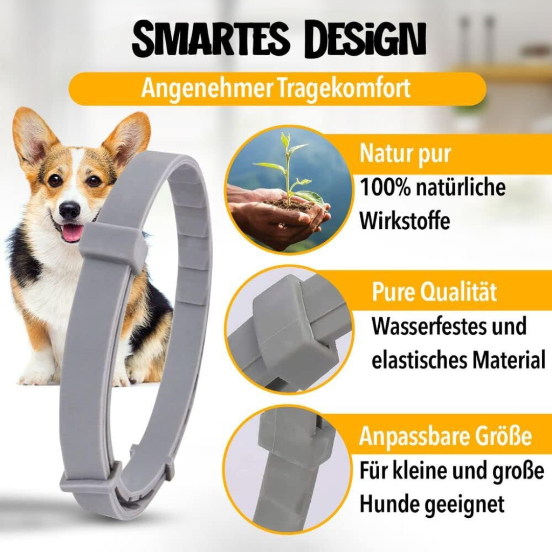 Floh- und Zeckenschutz-Halsband