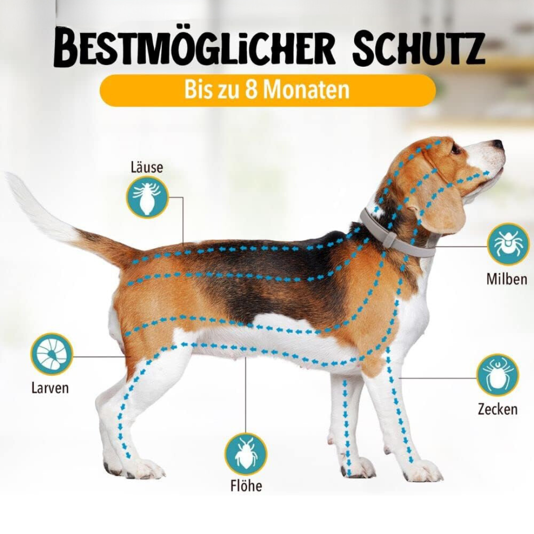 Floh- und Zeckenschutz-Halsband