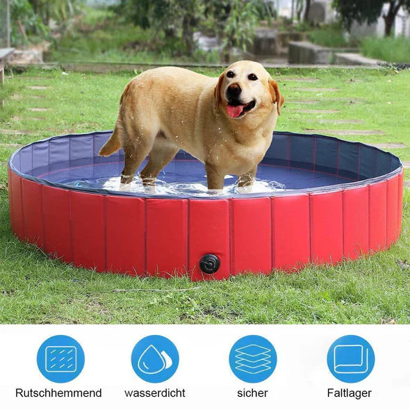 Faltbarer Hunde-Pool Für Garten Und Outdoor