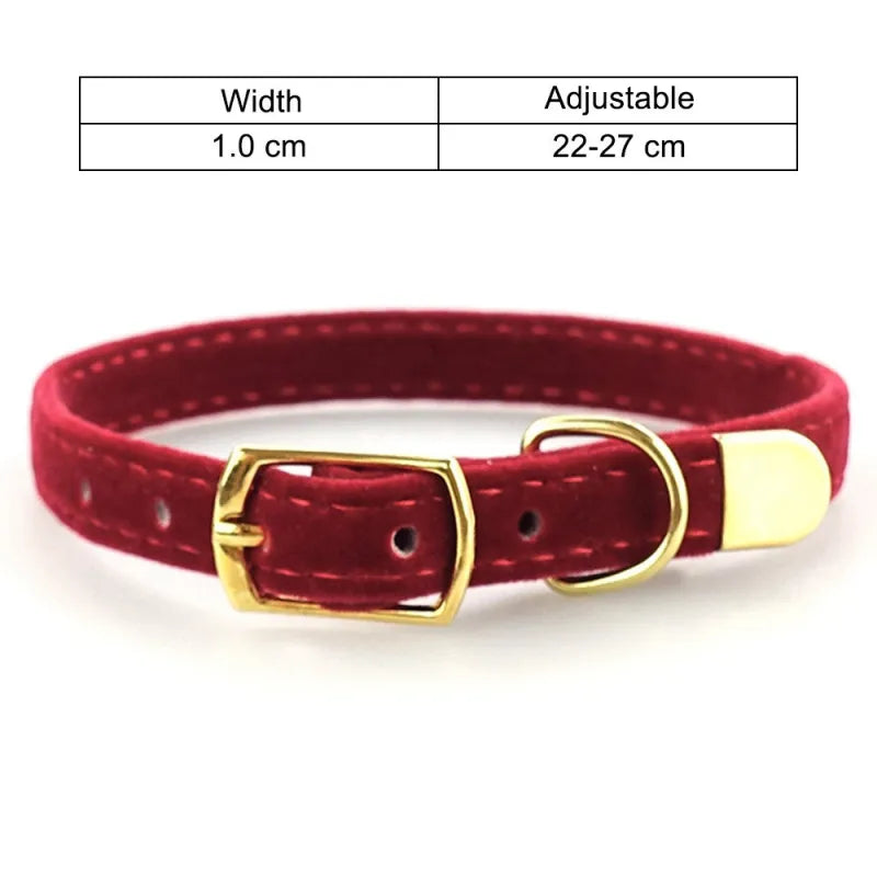 Velours Katzenhalsband mit Goldener Schnalle – Weich Verstellbar und Elegant