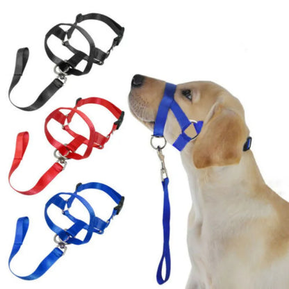Verstellbares Hundegeschirr mit Leine – Komfortables Halfter für Kleine und Mittlere Hunde