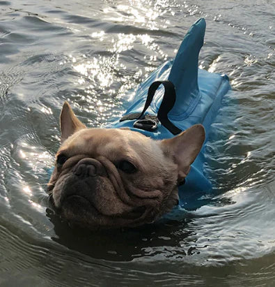 Hundeschwimmweste mit Flossen für sicheren Wasserspaß