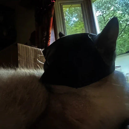Heldenhafte Katzenmaske Für Einzigartige Auftritte