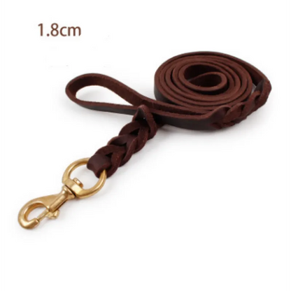 Leder Hundeleine mit Goldener Karabiner – Robustes und Elegantes Hundezubehör