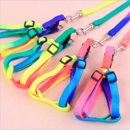 Buntes Hundegeschirr mit Leine – Verstellbares Set für Hunde in Regenbogenfarben