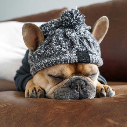 Stylische Hundemütze mit Bommel – Warme Wintermütze für Kleine Hunde