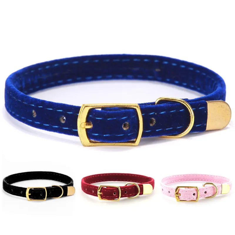 Velours Katzenhalsband mit Goldener Schnalle – Weich Verstellbar und Elegant