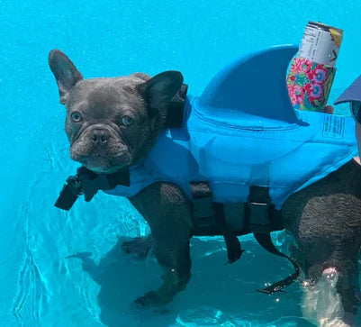 Hundeschwimmweste mit Flossen für sicheren Wasserspaß