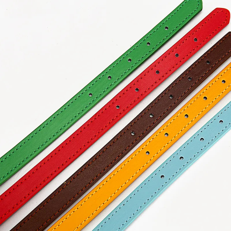 Buntes Lederhalsband für Hunde – Verstellbar und Strapazierfähig