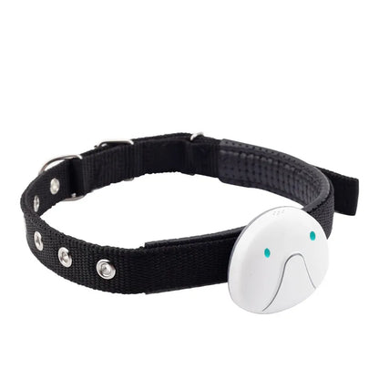 Hundehalsband mit GPS-Tracker – Einfach zu Befestigen und Zuverlässig