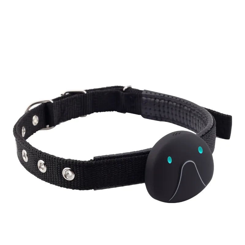 Hundehalsband mit GPS-Tracker – Einfach zu Befestigen und Zuverlässig