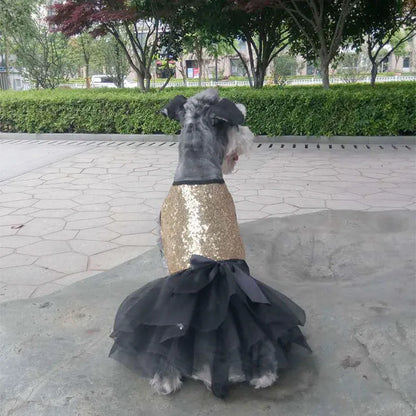Elegantes Hundekleid mit Glitzer und Tüllrock In 2 Farben