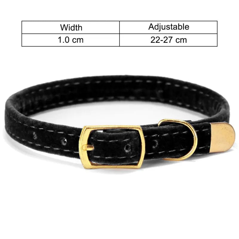 Velours Katzenhalsband mit Goldener Schnalle – Weich Verstellbar und Elegant