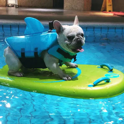 Hundeschwimmweste mit Flossen für sicheren Wasserspaß