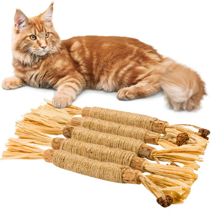 Interaktive Kauspielzeuge für Katzen