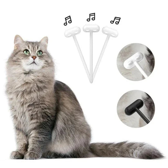 Innovative Massagebürste für Haustiere