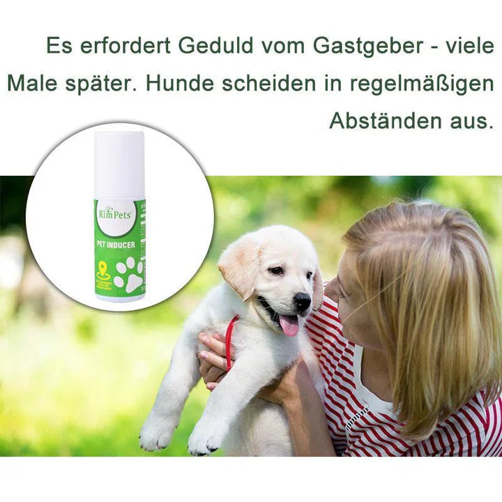 Anleitung Zur Gezielten Platzierung Der Haustiertoilette