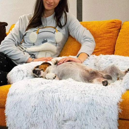 Kuscheliges Hundesofa mit luxuriösem Design