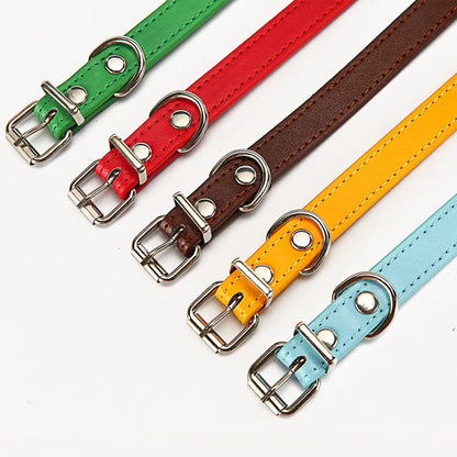 Buntes Lederhalsband für Hunde – Verstellbar und Strapazierfähig