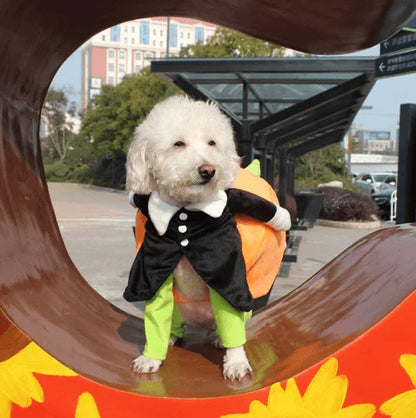Lustiges Kürbis-Halloween-Kostüm Für Hunde