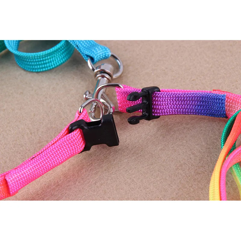 Buntes Hundegeschirr mit Leine – Verstellbares Set für Hunde in Regenbogenfarben