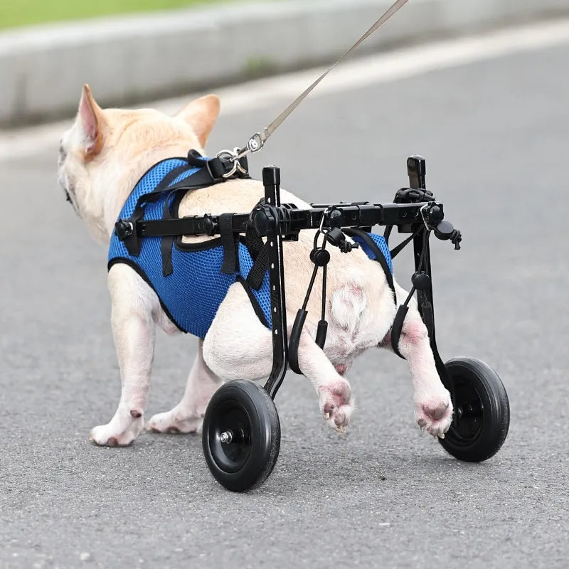 Hundehilfe-Gehhilfe für Katzen und Hunde – Rollstuhl für Mobilität und Unabhängigkeit