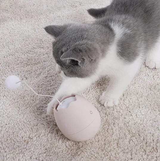 Interaktives Katzenspielzeug In Eiform – Spielzeug mit beweglichem Ball für Katzen