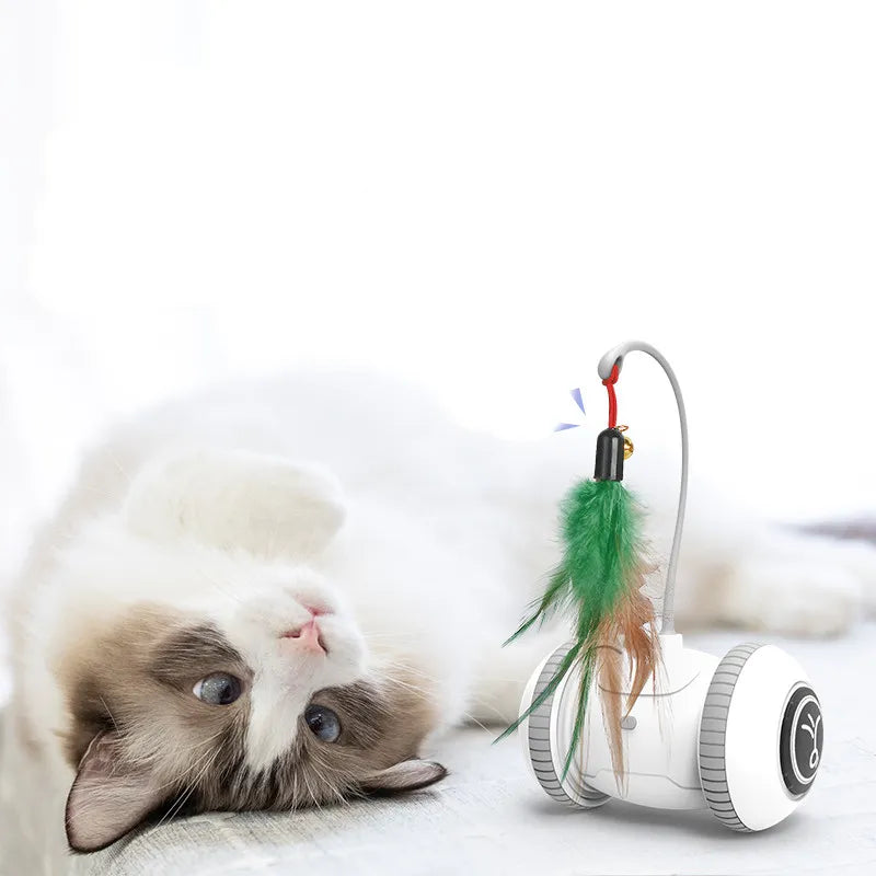 Interaktives Katzenspielzeug mit Feder – Roboter Spielzeug für Katzen