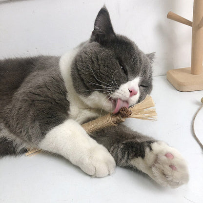 Interaktive Kauspielzeuge für Katzen