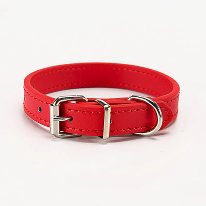 Buntes Lederhalsband für Hunde – Verstellbar und Strapazierfähig