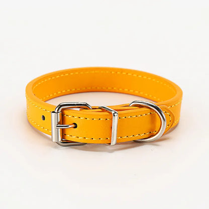 Buntes Lederhalsband für Hunde – Verstellbar und Strapazierfähig