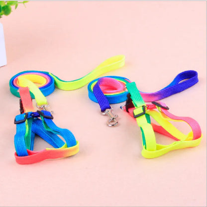 Buntes Hundegeschirr mit Leine – Verstellbares Set für Hunde in Regenbogenfarben