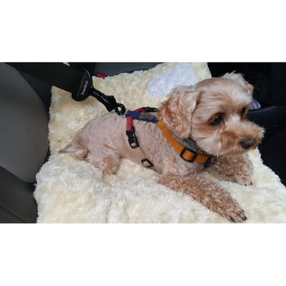 Truelove Sicherheitsgurt-Clip für Hunde Im Auto