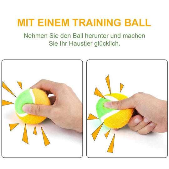 Interaktives Ballspielzeug Für Haustiere