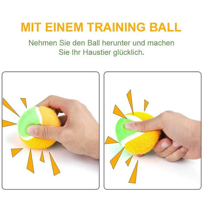 Interaktives Ballspielzeug Für Haustiere