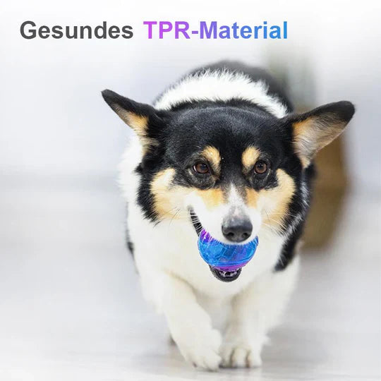 Langlebiger Kauspielball für Hunde