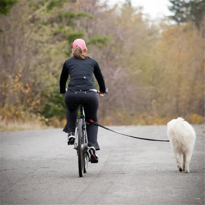 Fahrrad Hundeleine Mit Federung für Sicheres Radfahren und Hundeauslauf