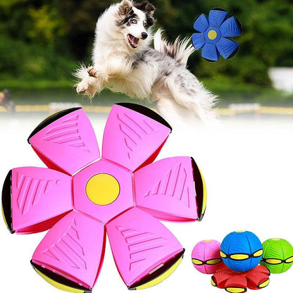 Magische Fliegende Ball-Scheibe (2 für 1)