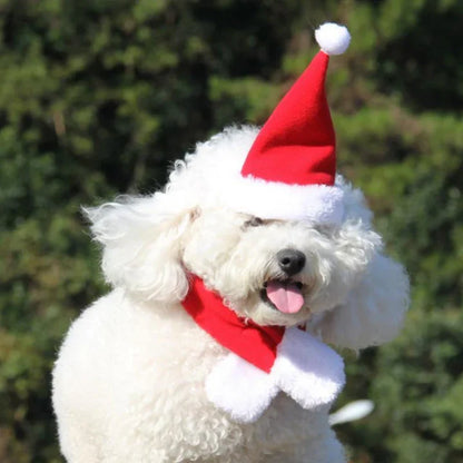 Weihnachtsmütze Mit Schal Für Haustiere