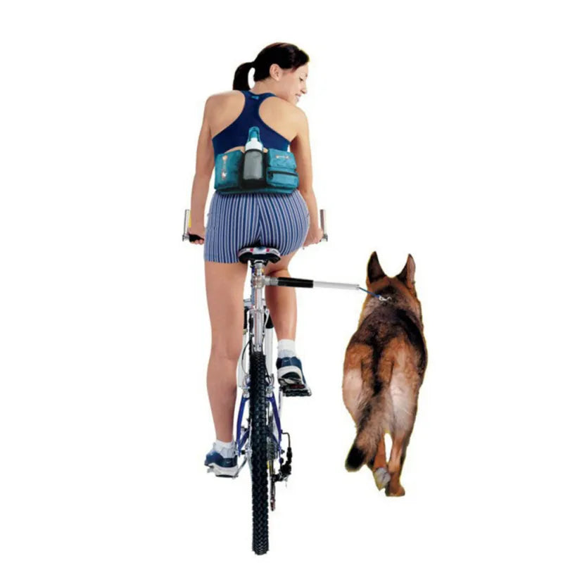Fahrrad Hundeleine Mit Federung für Sicheres Radfahren und Hundeauslauf