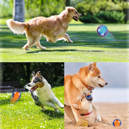 Langlebiger Kauspielball für Hunde