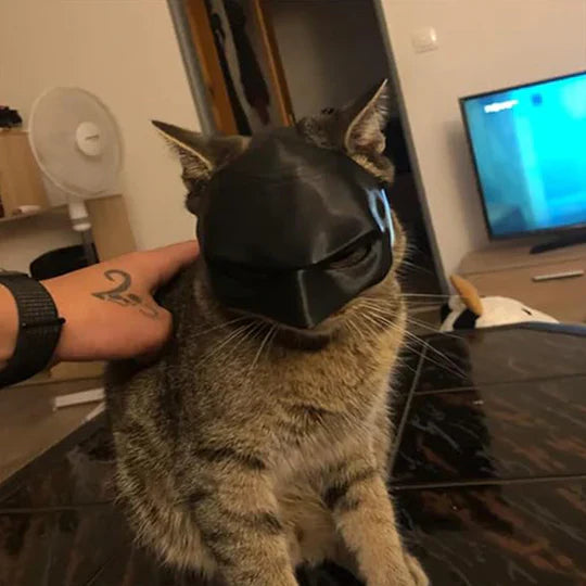 Heldenhafte Katzenmaske Für Einzigartige Auftritte