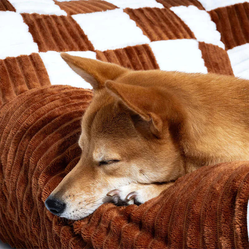 Luxuriöse Hundebettbank