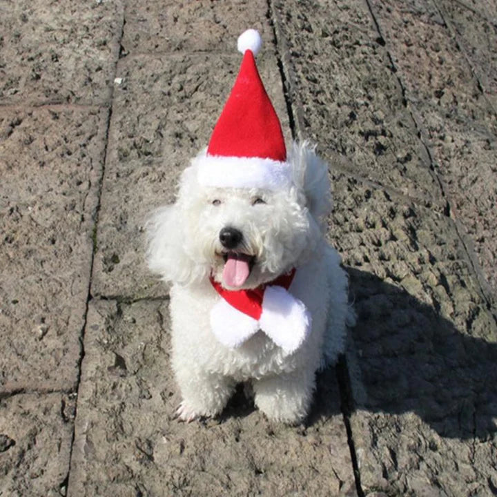 Weihnachtsmütze Mit Schal Für Haustiere