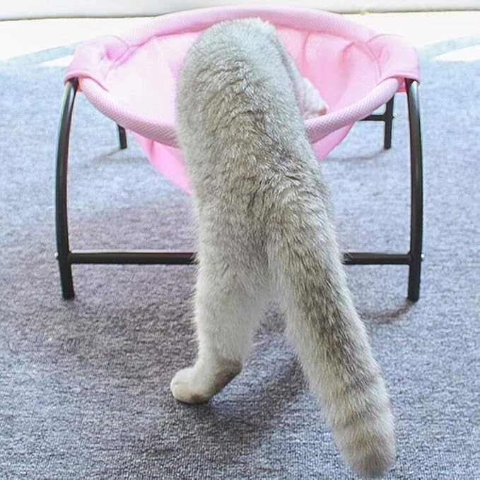 Katzen Hängematte – Atmungsaktives Katzenbett Mit Stabilen Metallgestell Für Gemütliche Ruhepausen