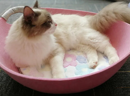 Haustierbett Aus Filz für Katzen – Weiches Komfortables Körbchen mit Griffen