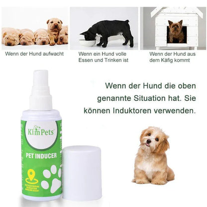 Anleitung Zur Gezielten Platzierung Der Haustiertoilette