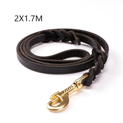 Leder Hundeleine mit Goldener Karabiner – Robustes und Elegantes Hundezubehör
